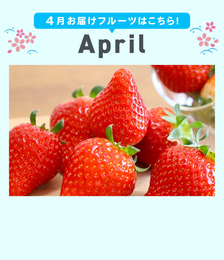 4月sp