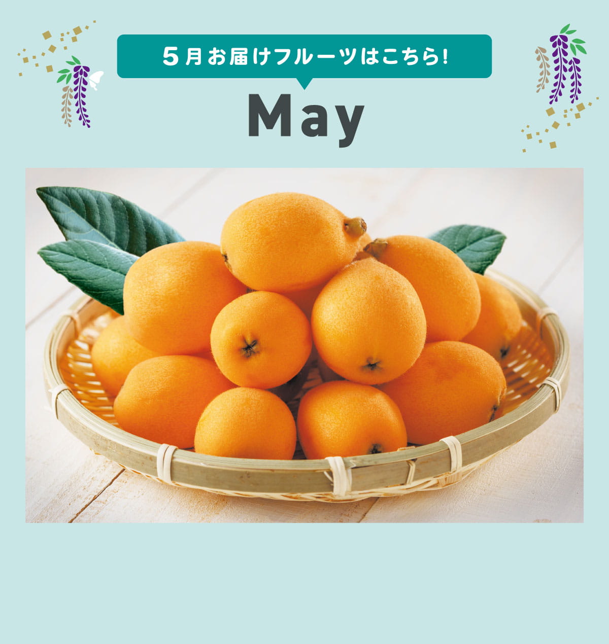 5月pc