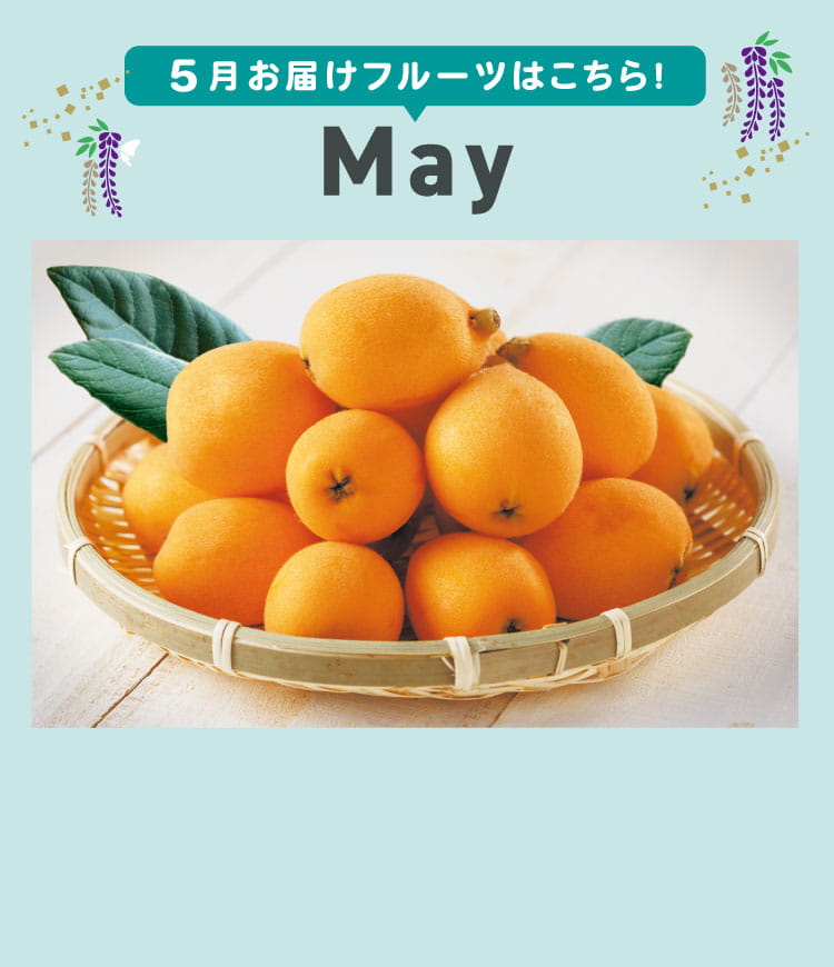 5月sp