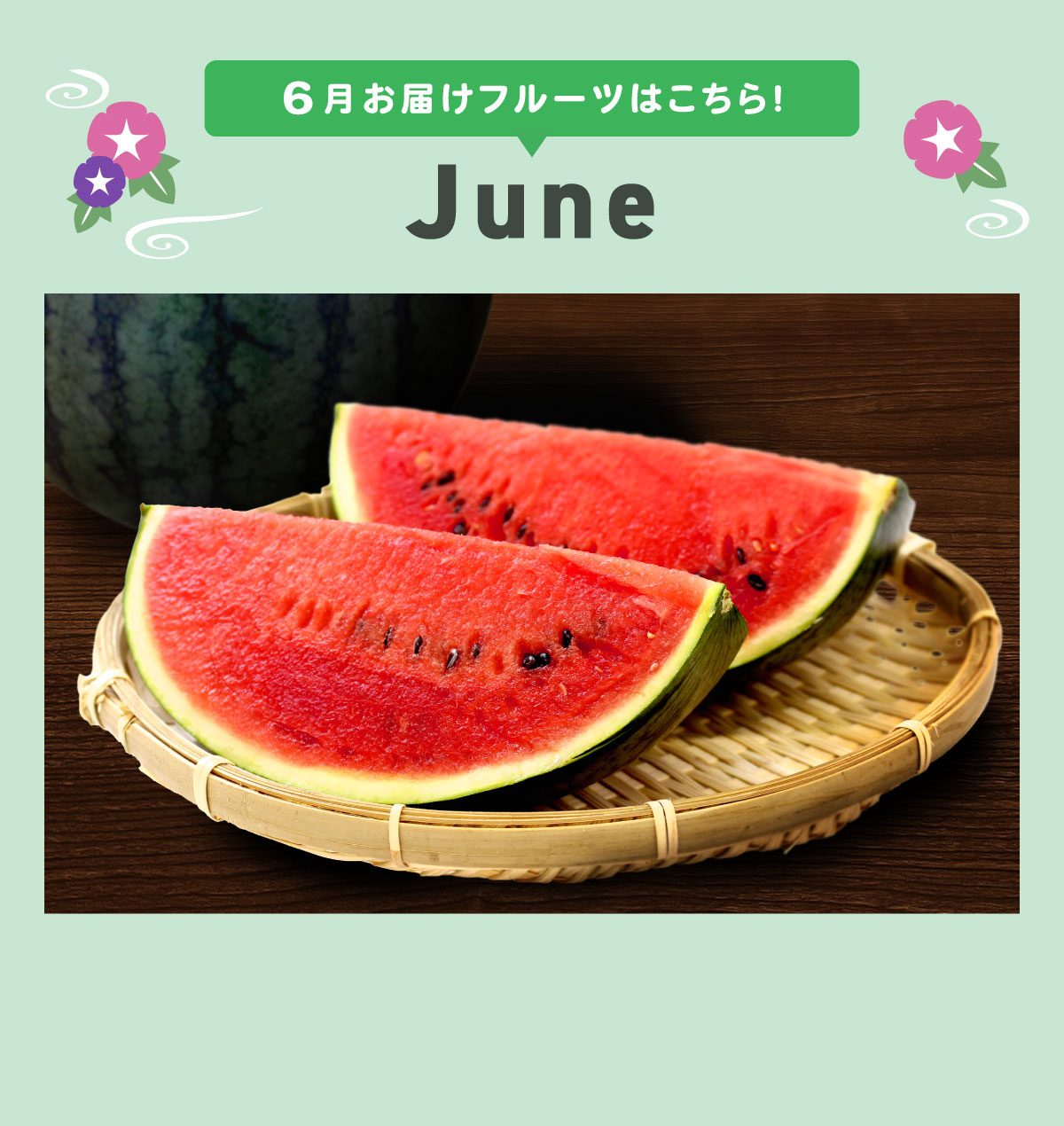 6月pc