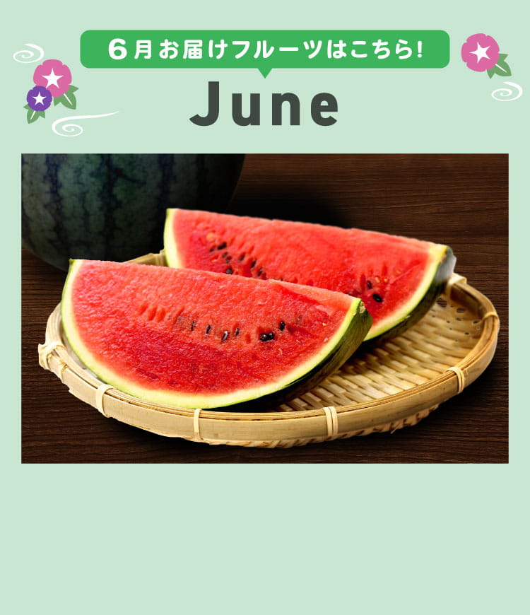6月sp