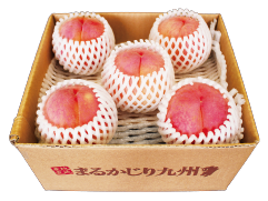 7月果物箱画像