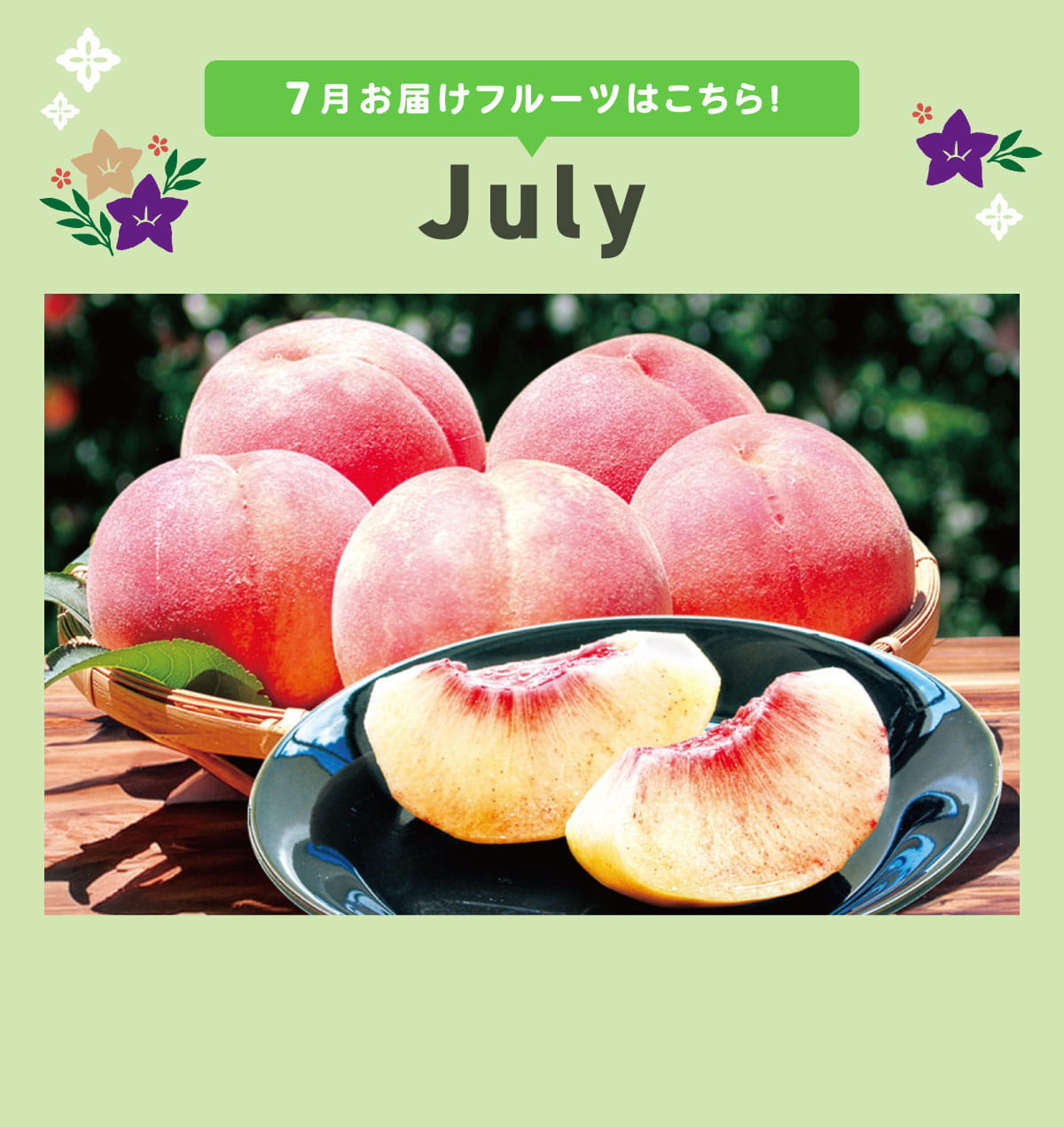 7月pc