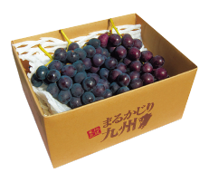 8月果物箱画像