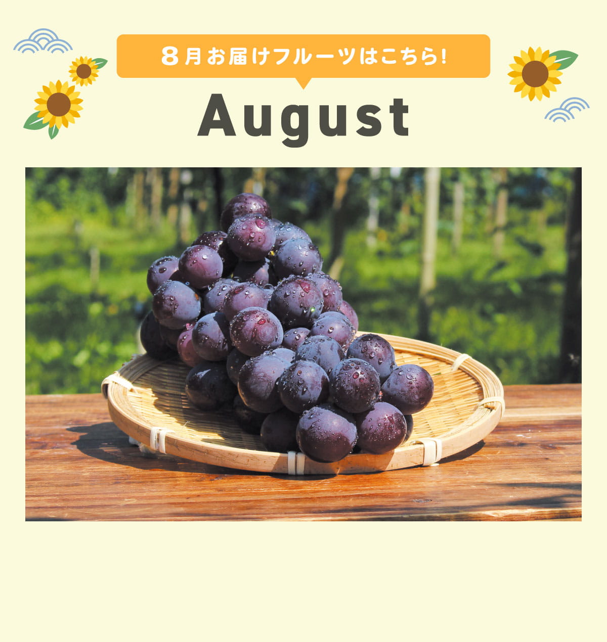 8月pc