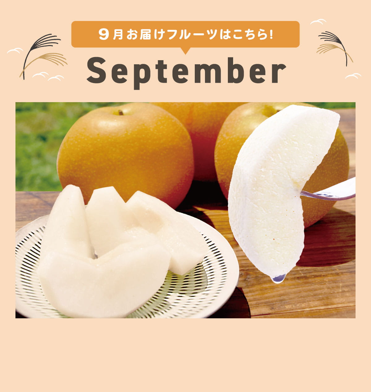 9月pc
