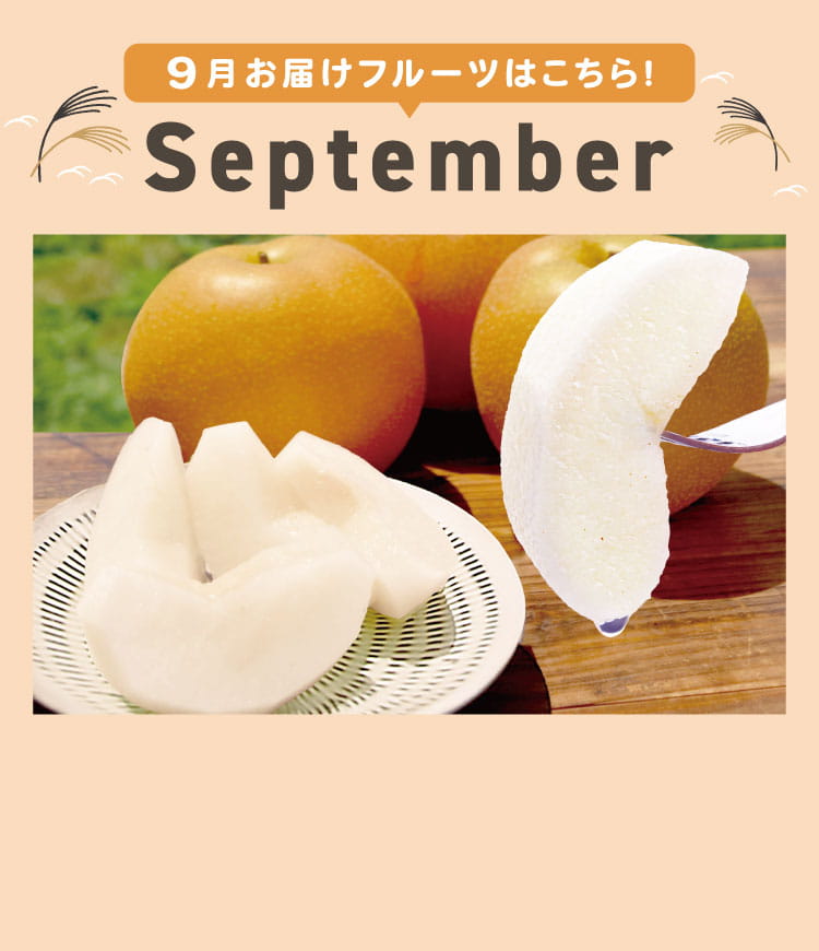 9月sp