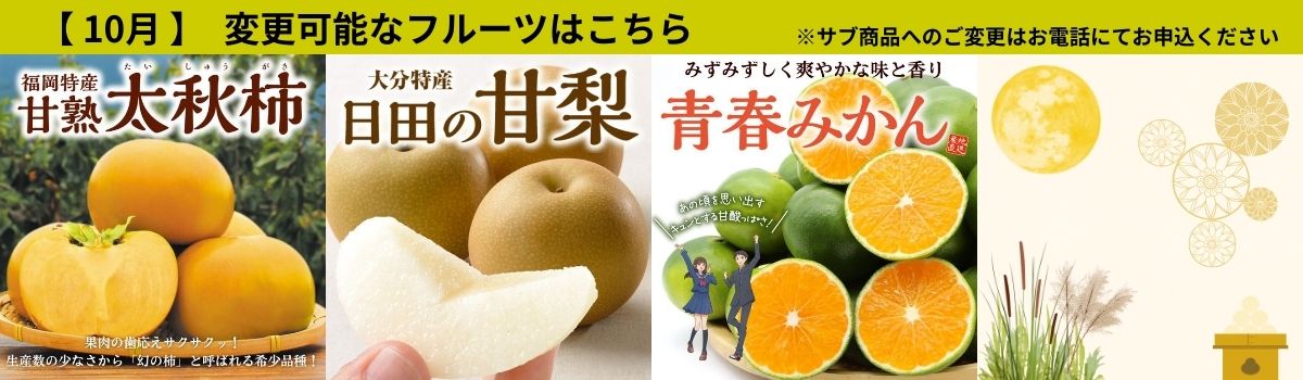 定期サブ商品10月