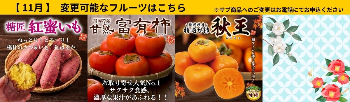 定期サブ商品11月