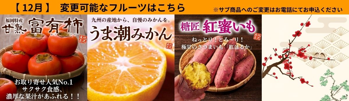 定期サブ商品12月