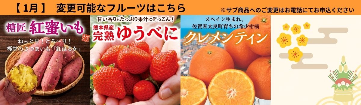 定期サブ商品1月