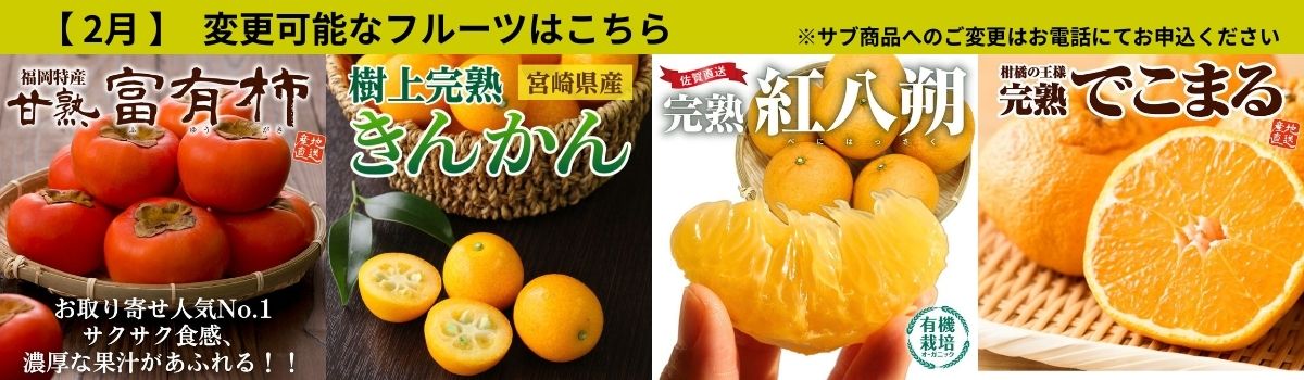 定期サブ商品2月