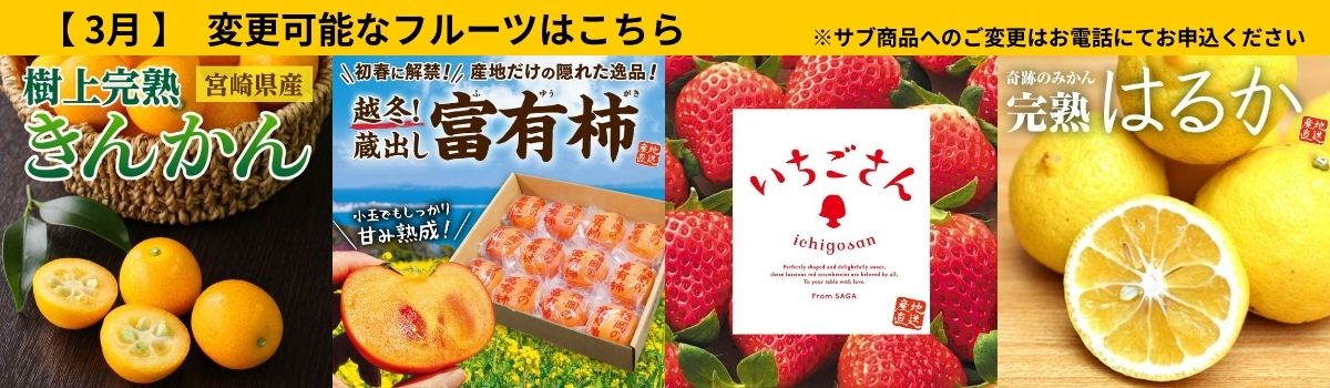 定期サブ商品3月