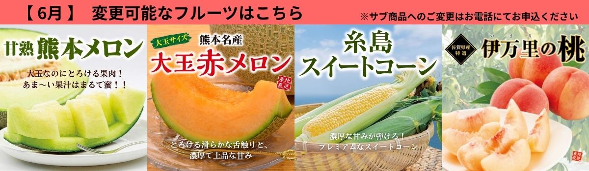 定期サブ商品6月