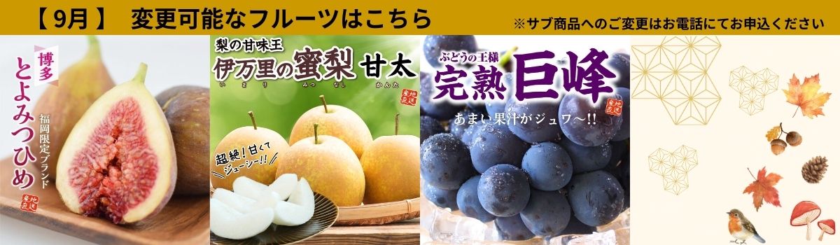 定期サブ商品9月