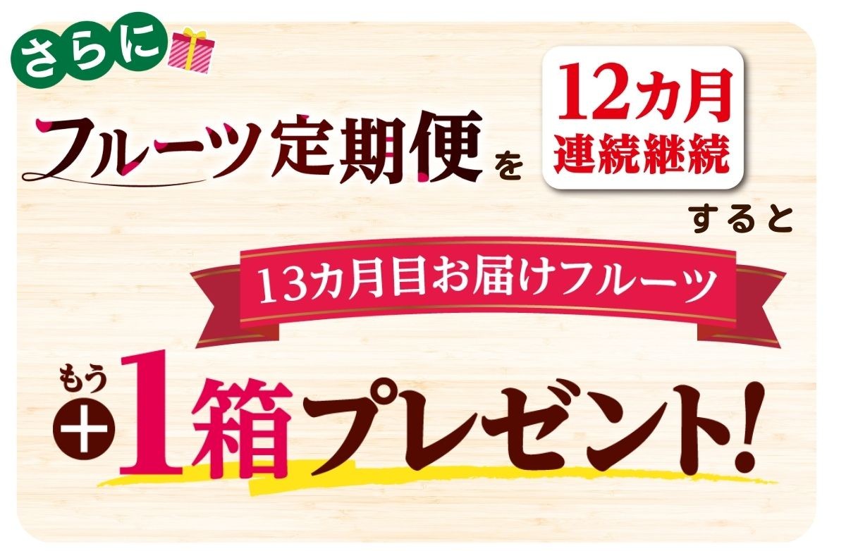 さらに定期特典13か月目にプレゼント