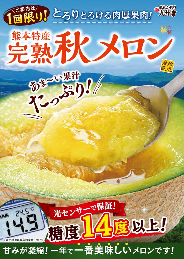 【アールスメロン】熊本県産マスクメロンを通販｜食べ頃の完熟秋メロンを産地直送