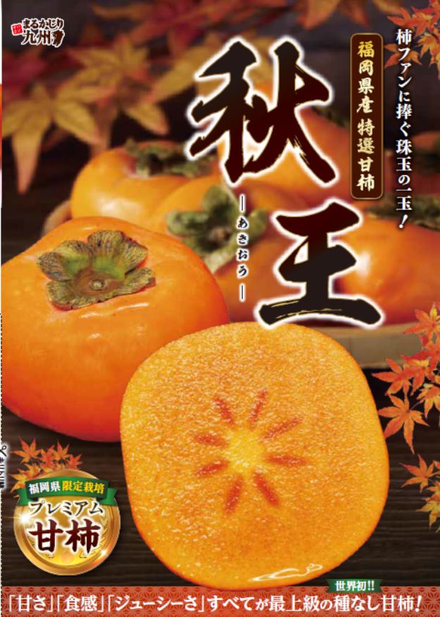 【秋王】福岡県限定！太秋柿と富有柿のいいとこどりなプレミアム甘柿を産地直送でお届け