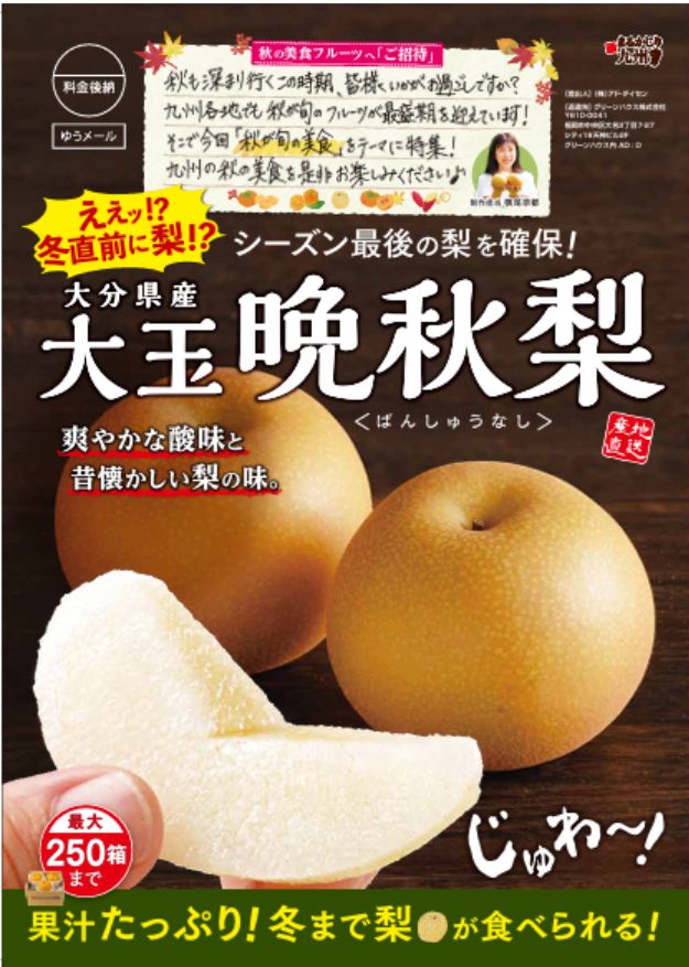 【大分県産 大玉晩秋梨】愛宕・新興など、シーズン最後の大玉梨を産地直送