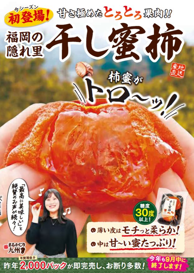 【干し柿】トロっとした柿蜜が溢れる「福岡名物 干し蜜柿」をお取り寄せ