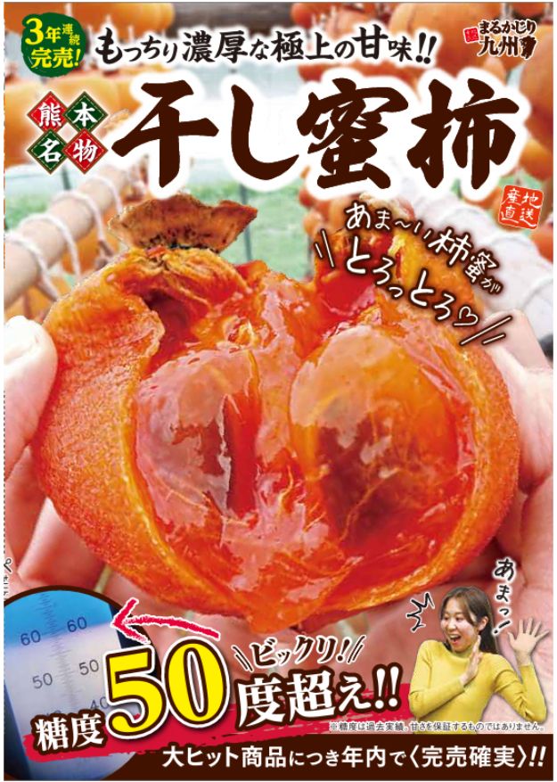 干し柿 お取り寄せ｜熊本・宇城市の吊るし柿「干し蜜柿」もちっとねっとり