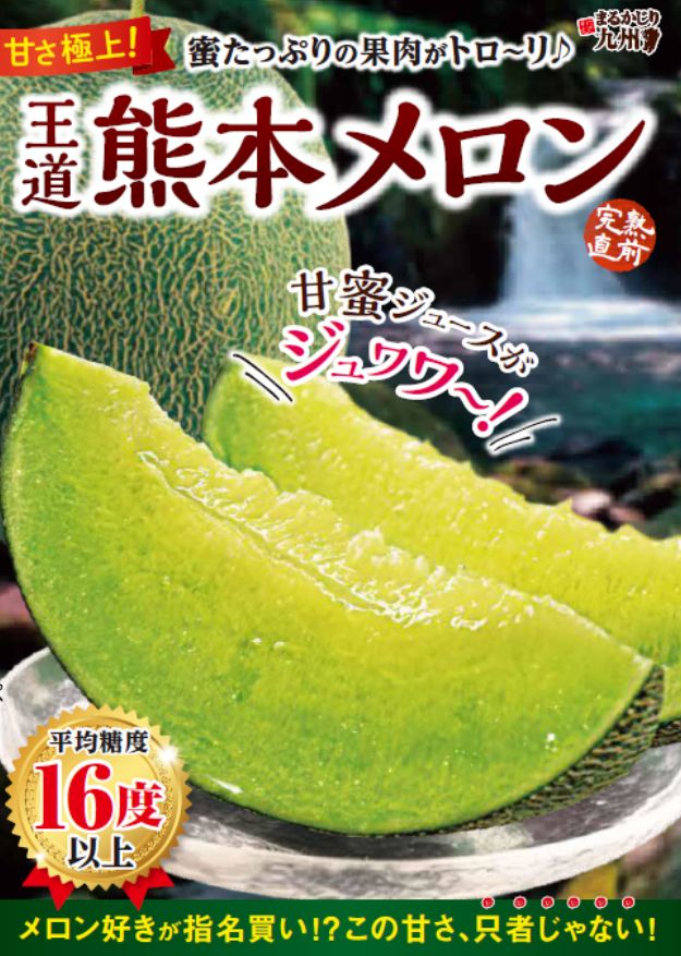 熊本メロン肥後グリーン