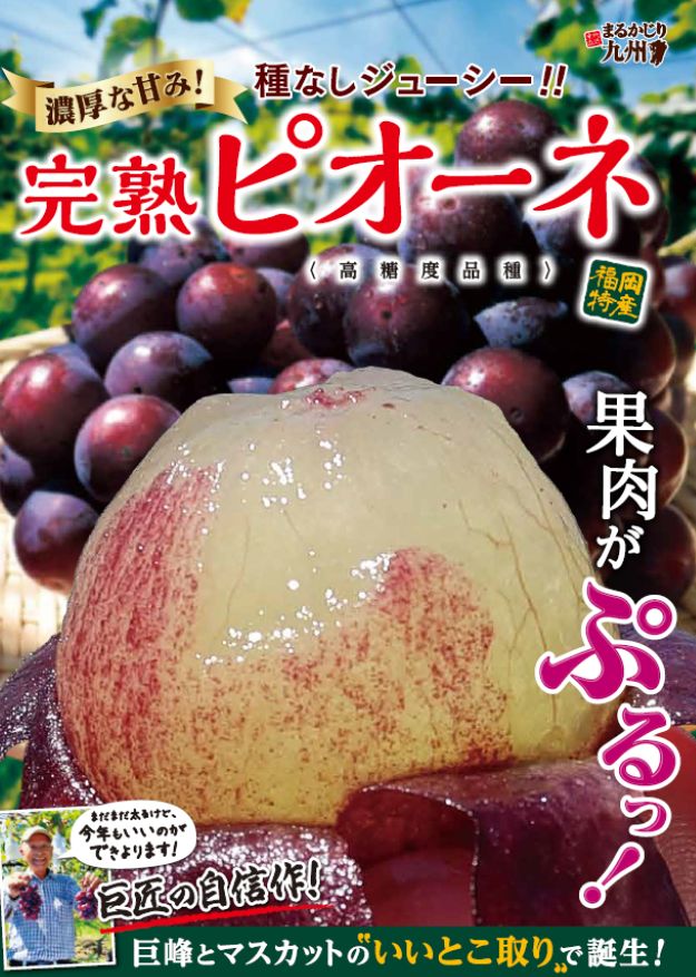 【ピオーネ】人気のぶどうを産地直送でお取り寄せ「福岡県産 完熟ピオーネ」