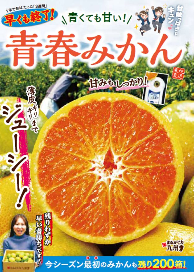 【極早生みかん】福岡・熊本よりシーズン一番手のみかんを産地直送「青春みかん」