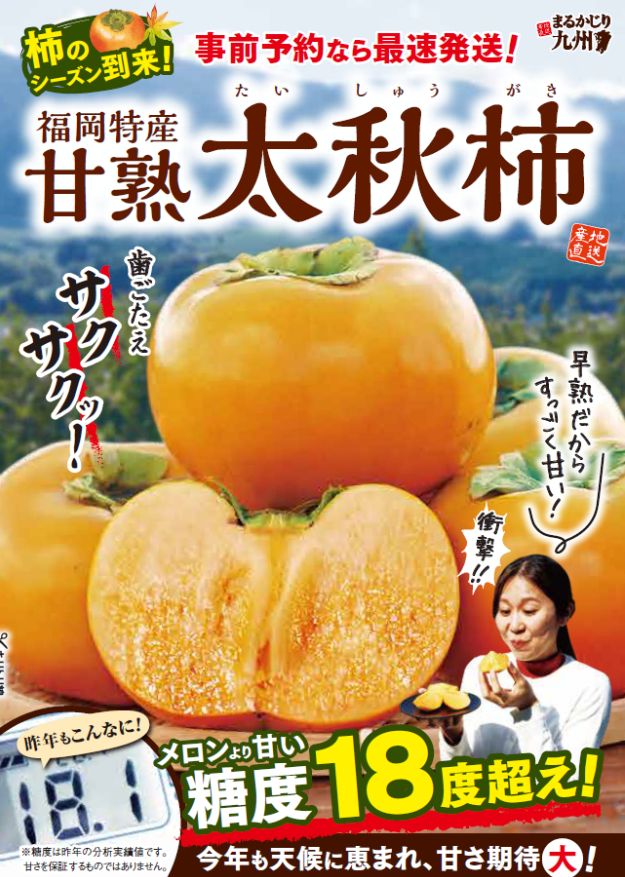 【太秋柿】旬の時期に名産地福岡県より通販でお届けします。「幻の柿」と呼ばれる希少品種！