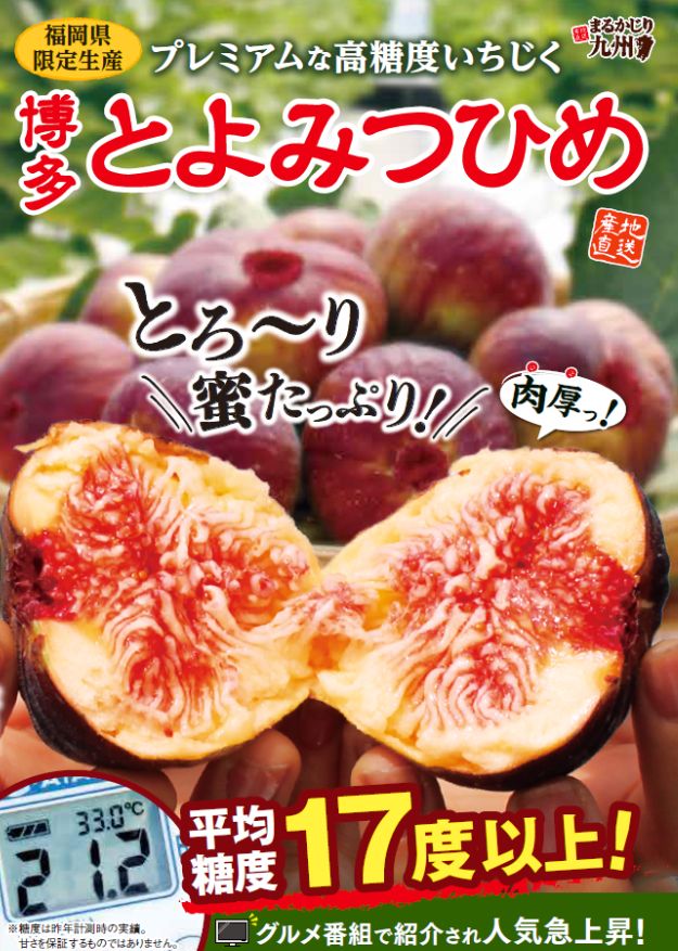 【とよみつひめ】福岡県限定生産の希少いちじくを、産地より農家直送でお届け