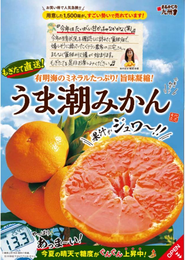 【温州みかん】九州が誇る名産地で収穫した美味しいみかんをお取り寄せ「うま潮みかん」