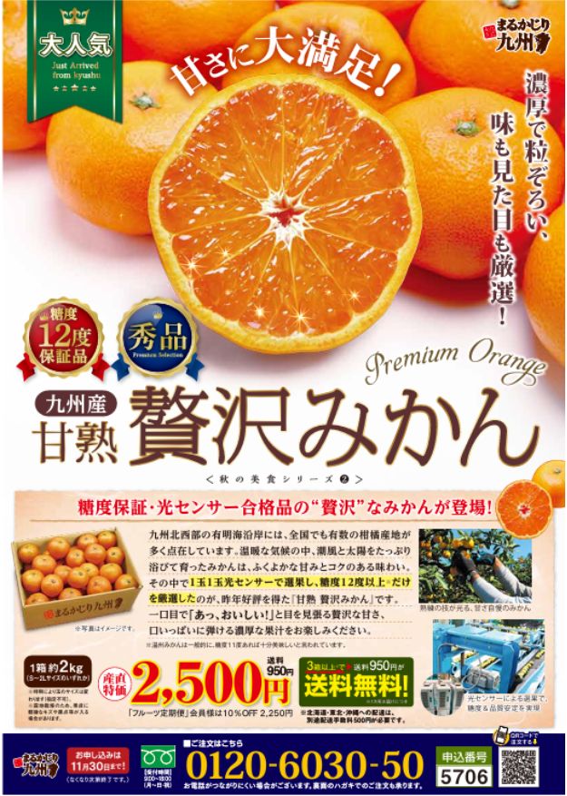 【高糖度みかん】濃厚で粒ぞろい、味も見た目も厳選した「甘熟 贅沢みかん」