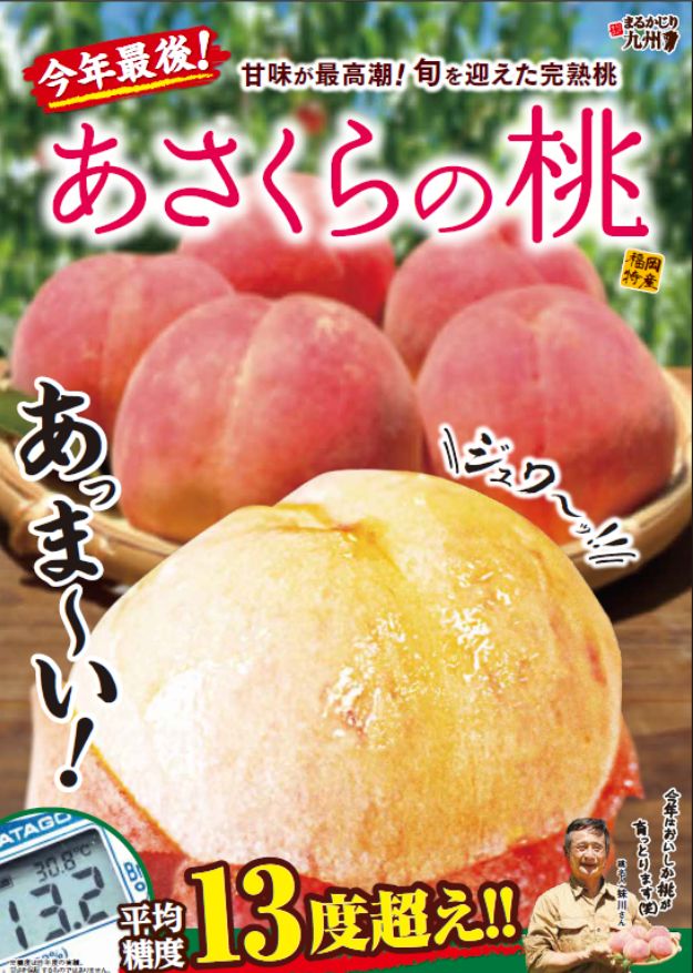 あさくらの桃