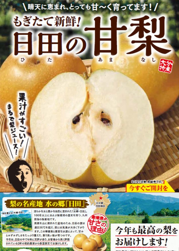 【日田の甘梨】大分県より旬の日田梨を産地直送でお届け