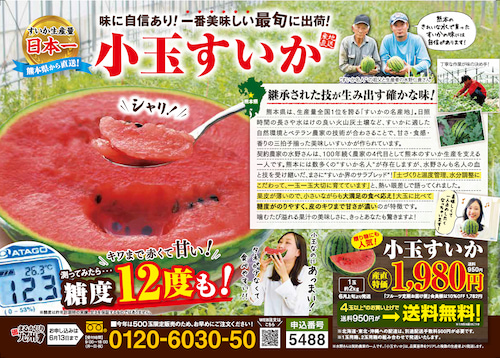 小玉すいか
