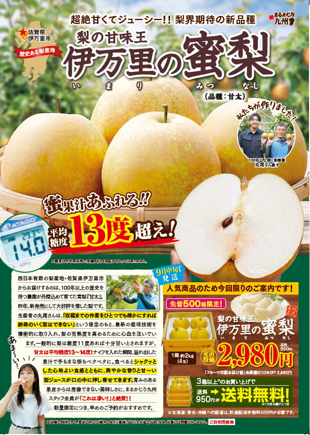 伊万里の蜜梨 甘太
