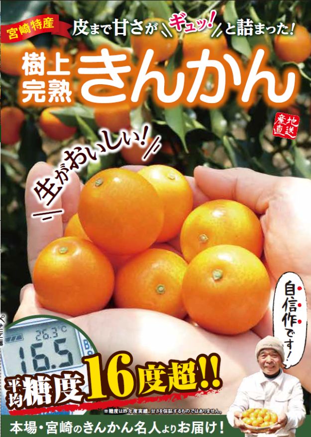 樹上完熟きんかん