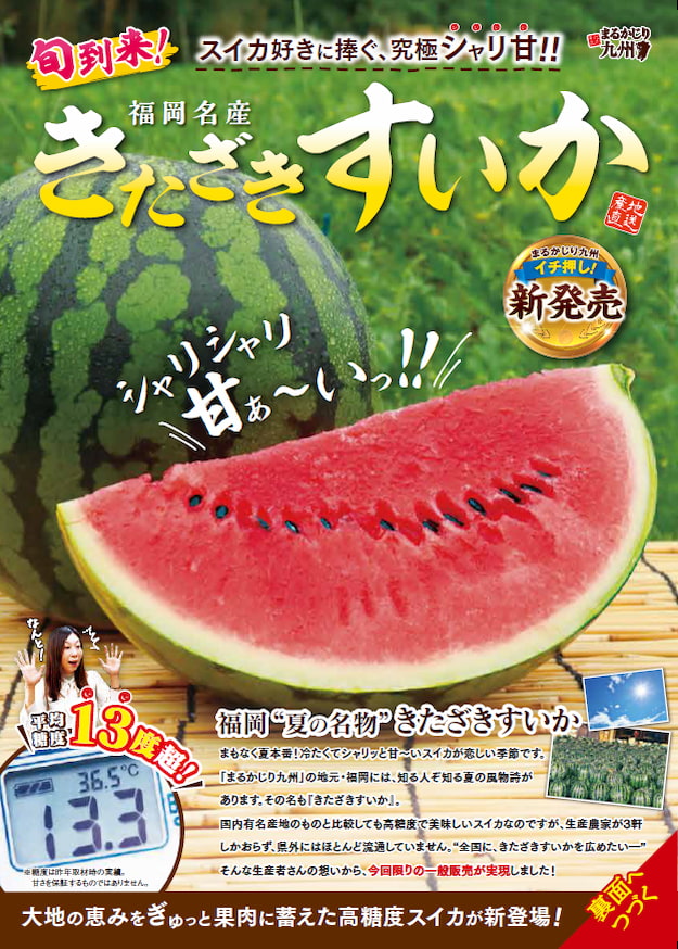 きたざきすいか