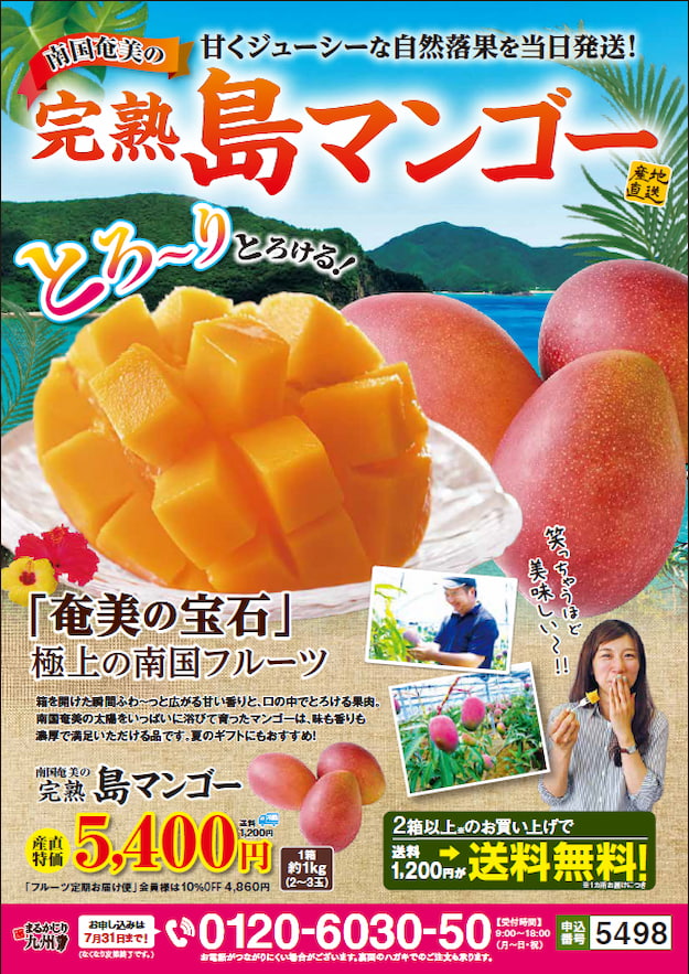 島マンゴー