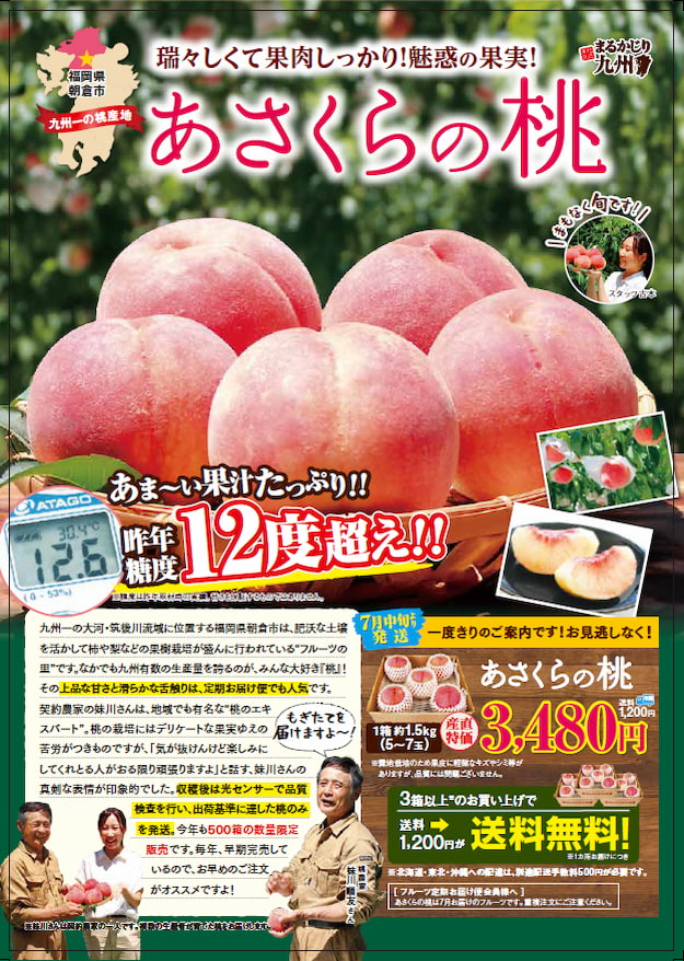 あさくらの桃