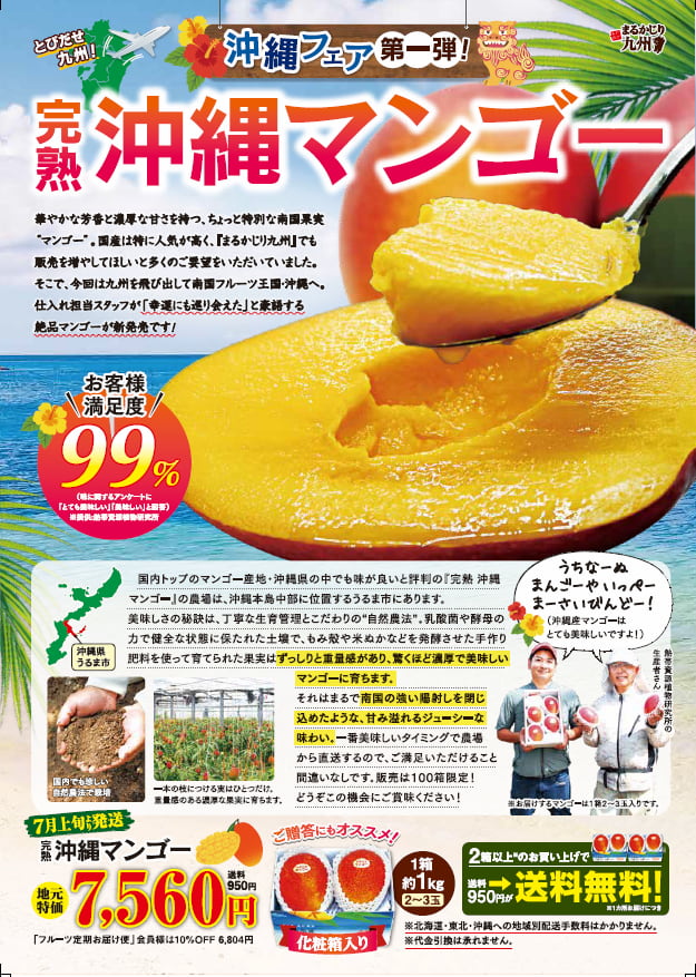 沖縄マンゴー