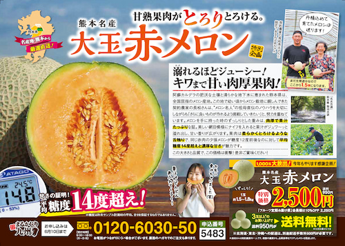 大玉赤メロン