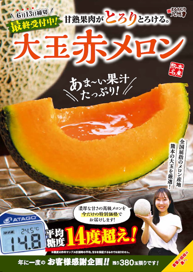 大玉赤メロン