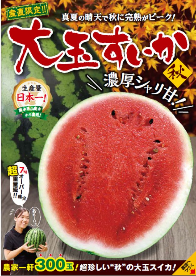 大玉すいか秋