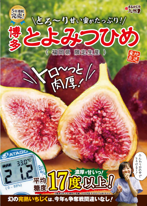 とよみつひめ