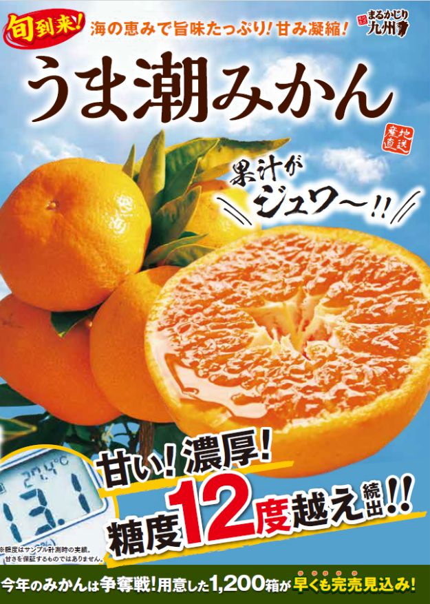 うま潮みかん