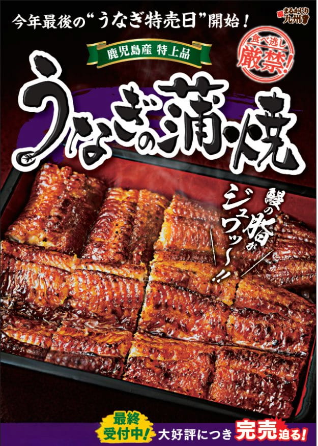 うなぎの蒲焼