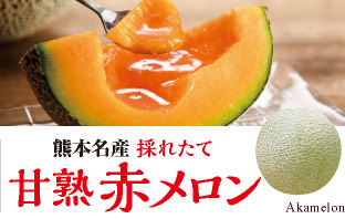 熊本名産 完熟赤メロン