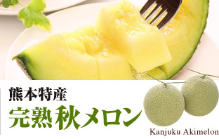 甘熟秋メロン