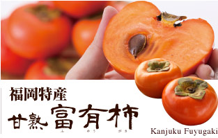 完熟富有柿